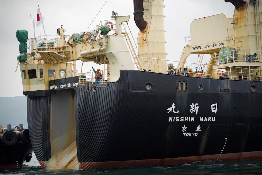 Men wave on board a ship marked "Nisshin Maru"