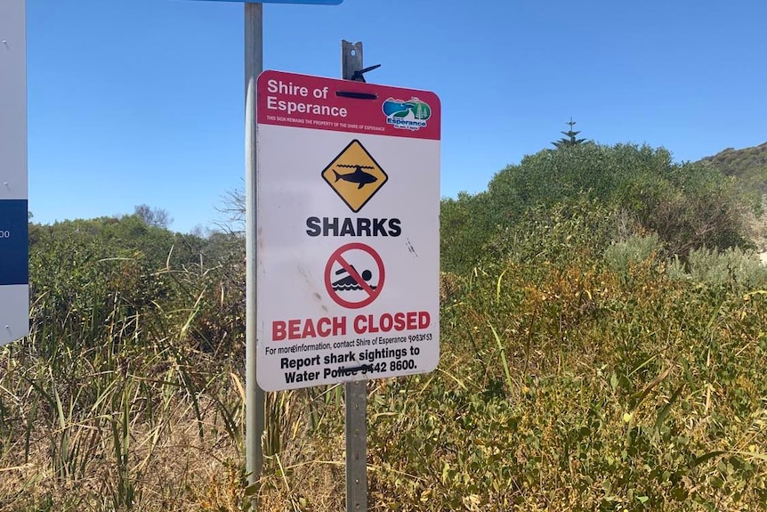 A sign saying 'beach closed'