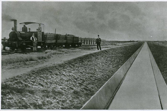 A man stands near a steam train loaded with logs in a soil field.
