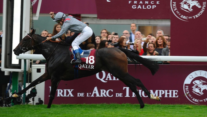 Thierry Jarnet riding Treve wins the 2013 Prix de l'Arc de Triomphe at Longchamp.