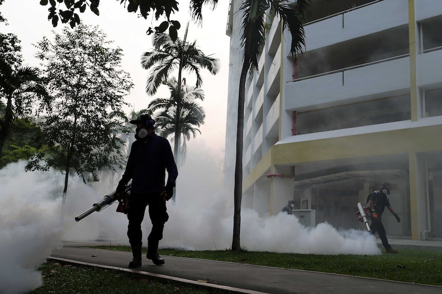 Workers fog a housing estate at Aljunied Crescent in Singapore.