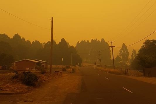 Image shows an empty road with a house to the left, trees in background and powerlines along road with yellow sky above.