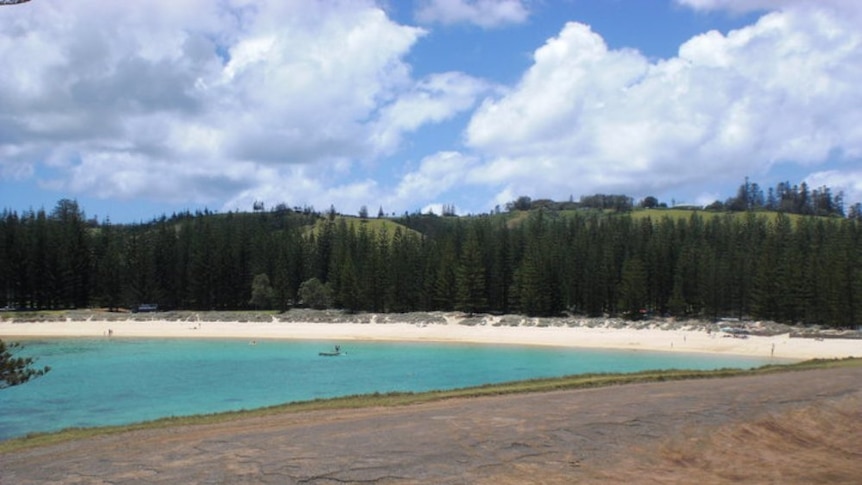 Norfolk Island's government will push on with their bid to grow medicinal cannabis, despite it being vetoed by the island's Administrator.