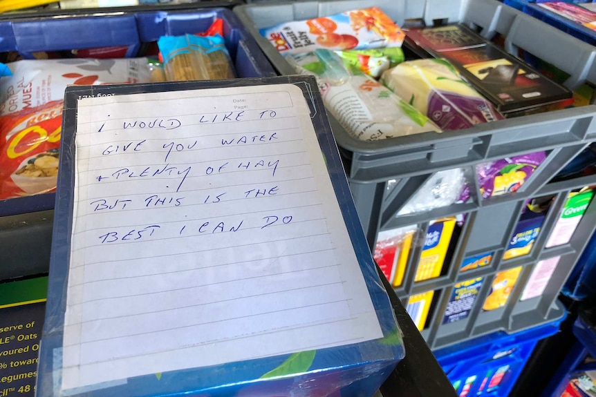 Crates of groceries with a tea box on top and a note attached.