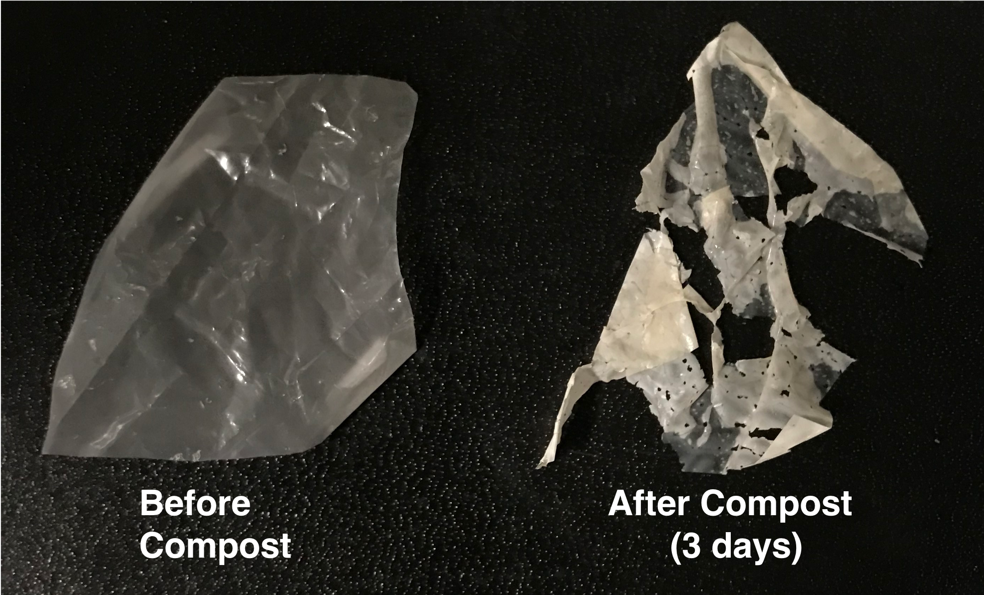 Biodegradable plastic breaks down in compost