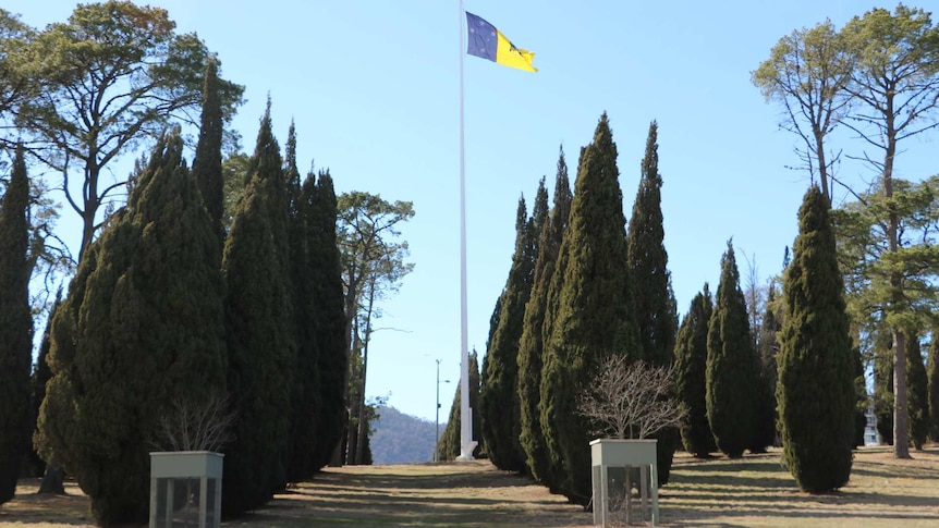 ACT flag flying above City Hill in Canberra's CBD.
