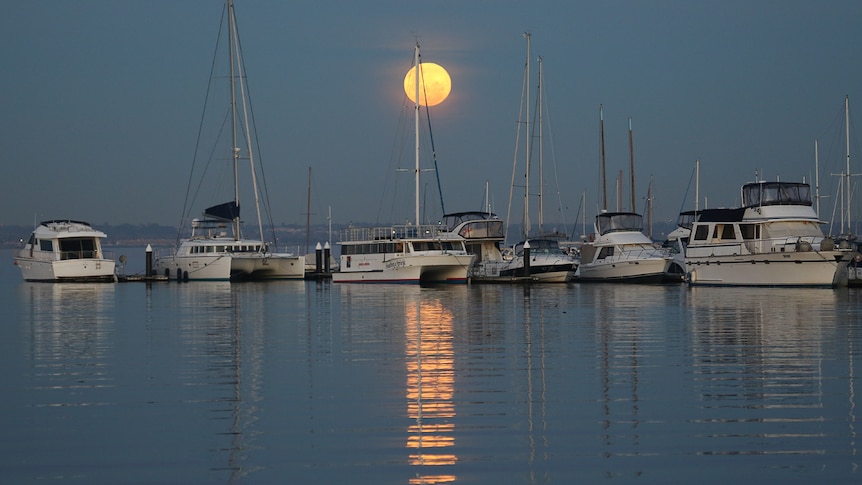 The supermoon rises over Port Phillip Bay and Williamstown in Melbourne.