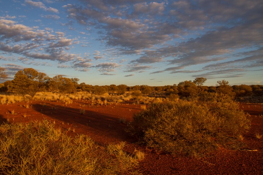 Red dirt in outback WA's Goldfields