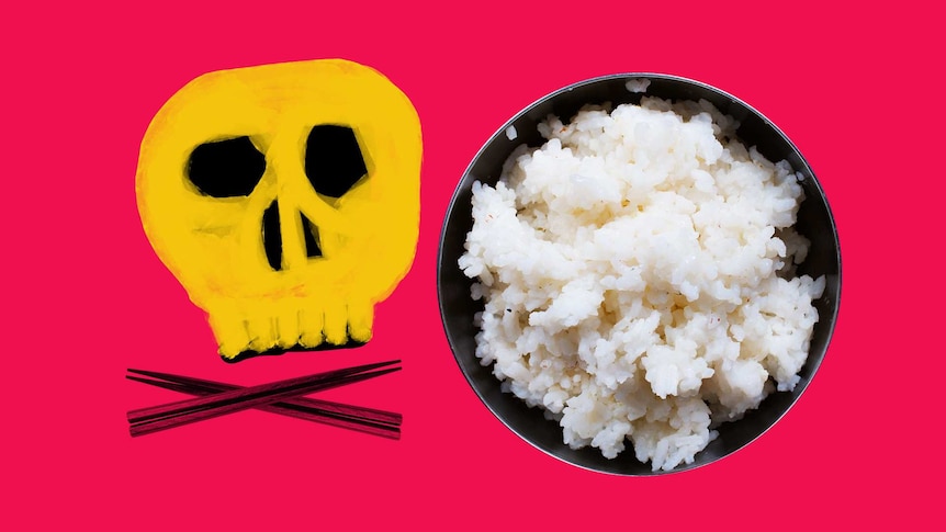 An illustration of a skull and cross bone next to a bowl of rice photographed from above.