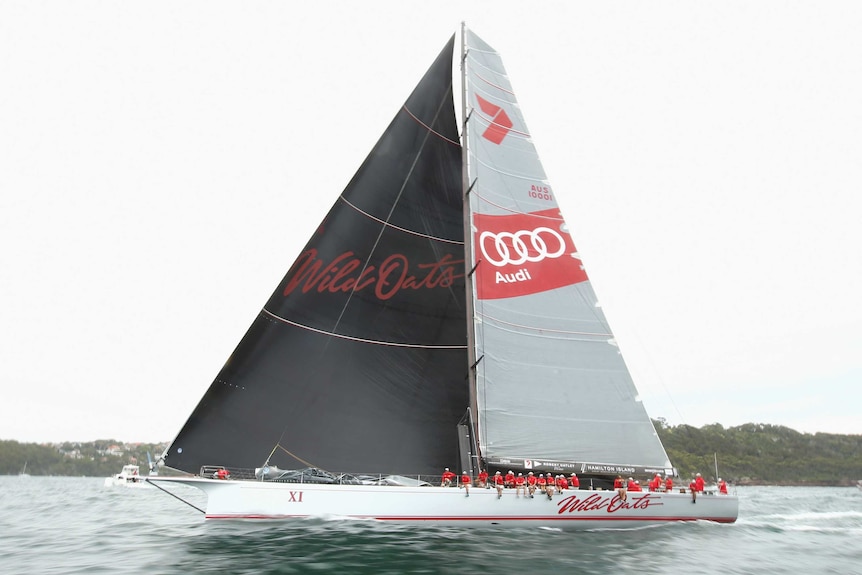 Wild Oats XI sails in the Big Boat Challenge