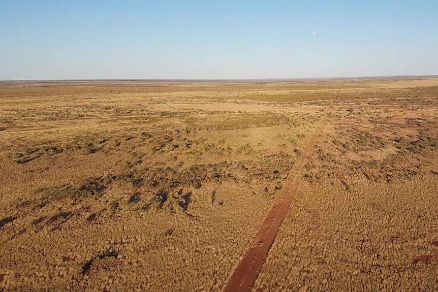 a homestead in the middle of red dirt and trees.