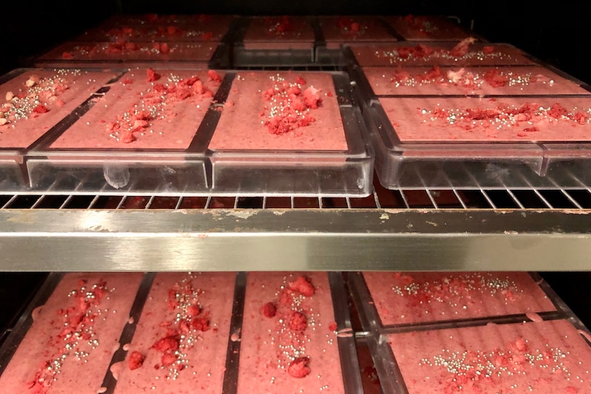Strawberry chocolate bars in their moulds with silver ball sprinkles and freeze dried strawberries.