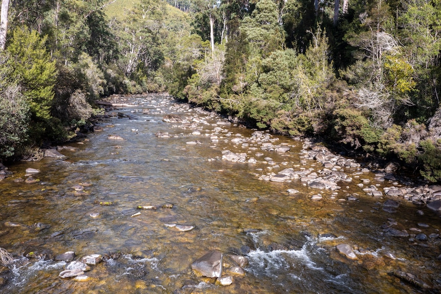 A river and rocks.