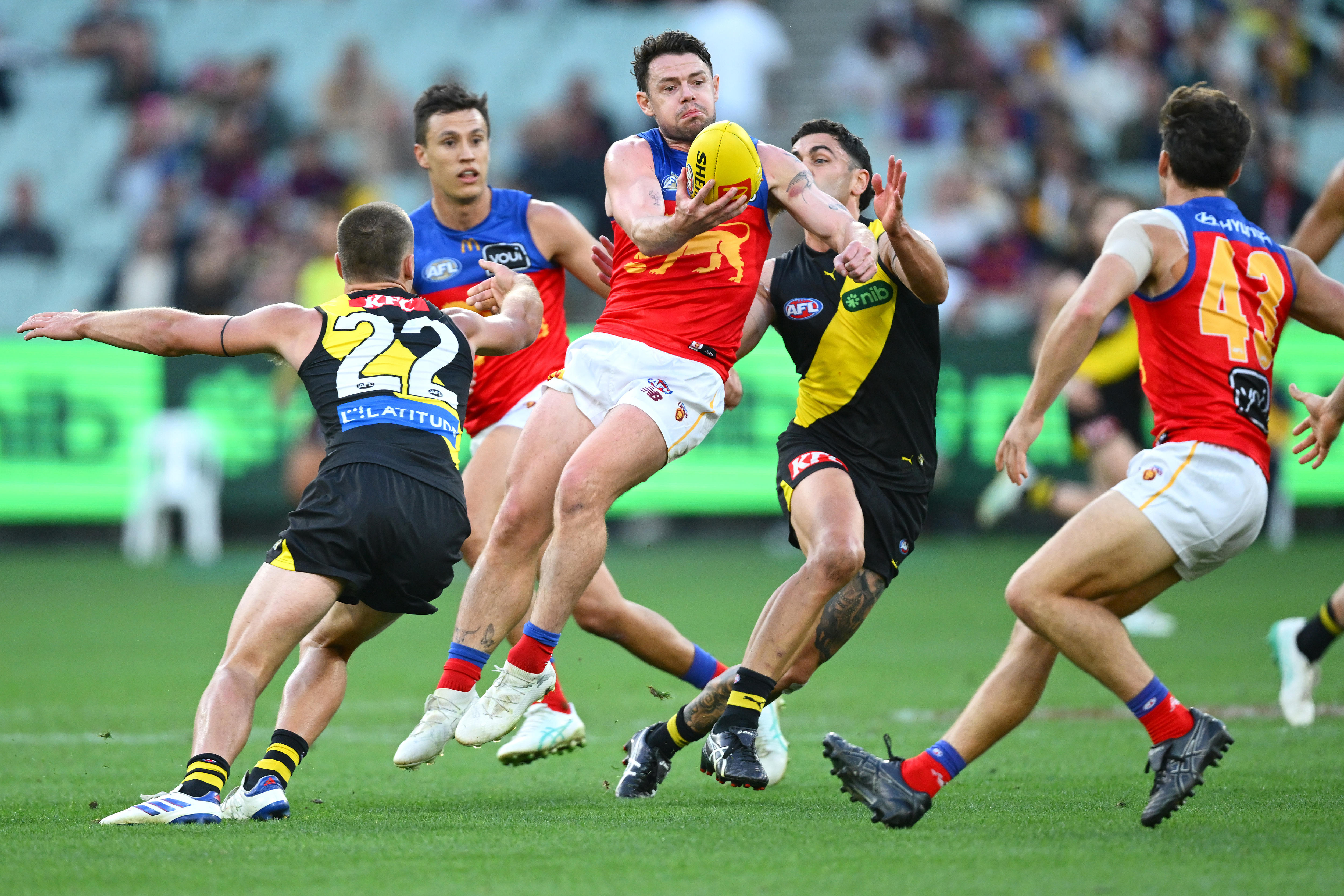 Live: Tigers meet Lions in Hobart ahead of Saints-Giants clash