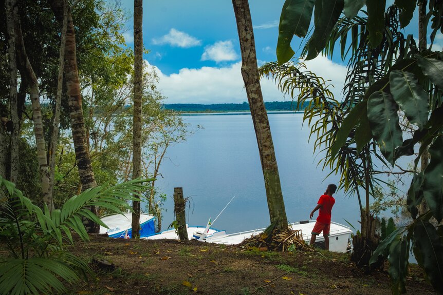 A man in a red top stands on the banks of a river surrounded by tropical trees