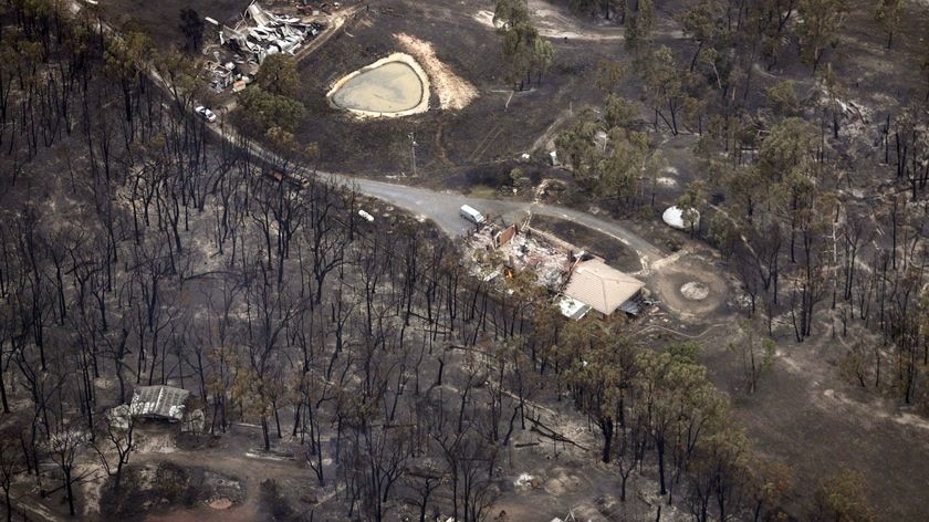 The remains of houses destroyed by bushfires line a street in Kinglake.