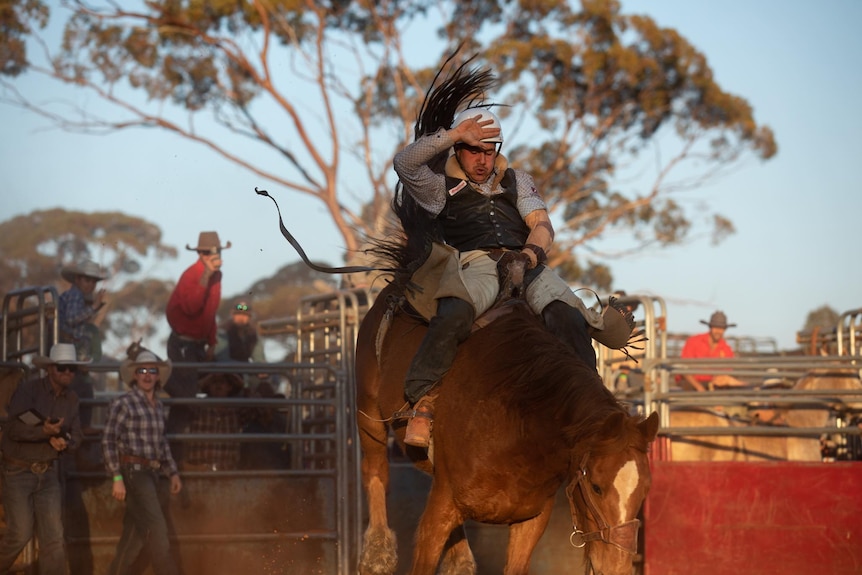A man riding a bull.