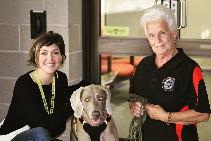 Dr Paola A. Magni, Drift the dog, and Bev Auld from Search Dogs Australia.
