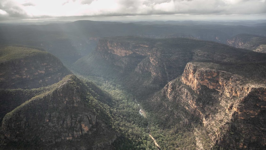 A large mountainous, remote region with several mountains and thousands of trees, seen from above