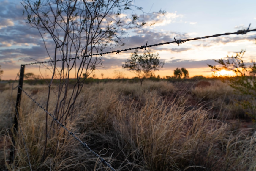 a sun sets over a dry grass paddock with a barbed wire fence in the foreground