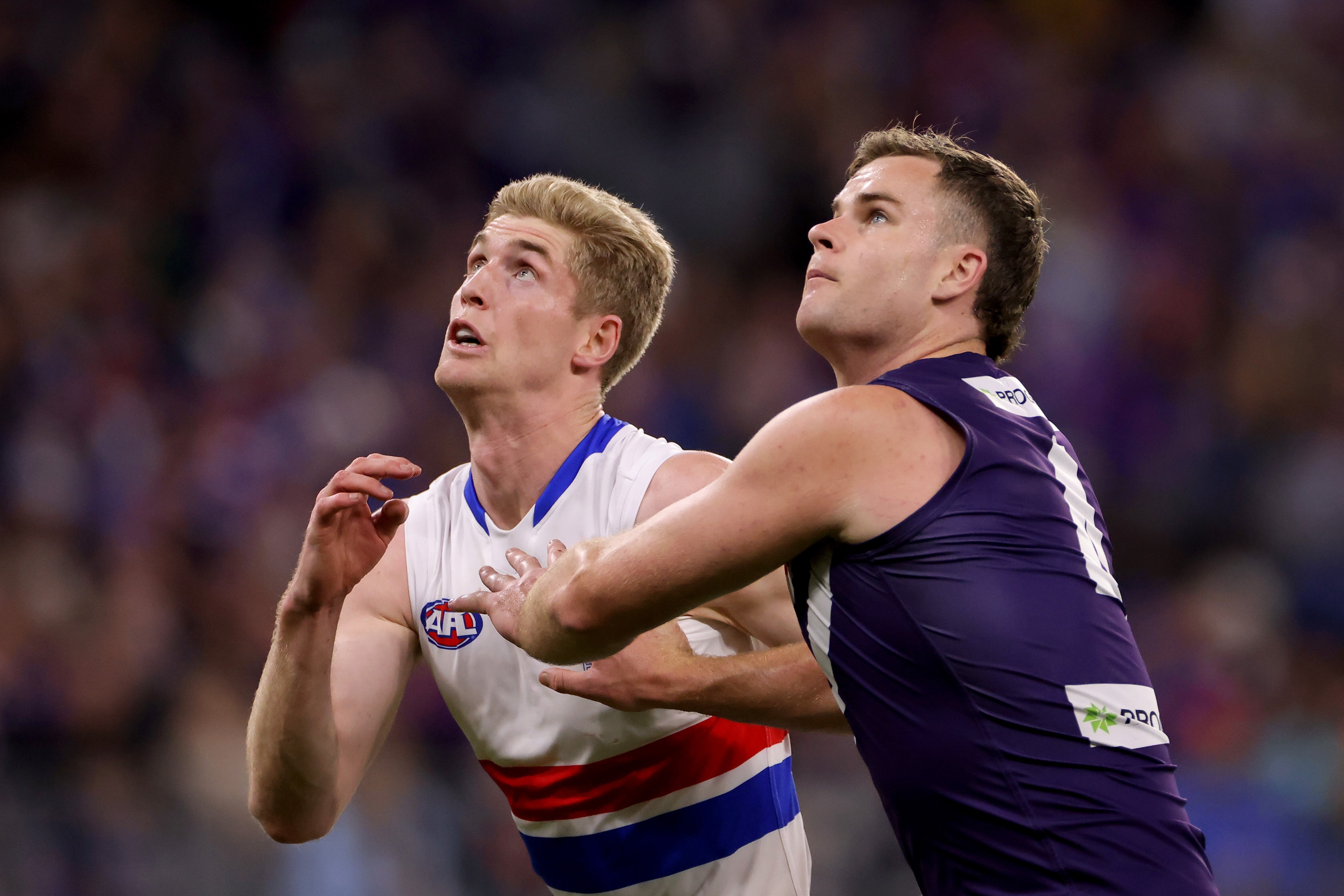 A Western Bulldogs AFL player pushes against a Fremantle opponent as they contest for the ball.