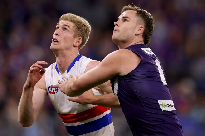 A Western Bulldogs AFL player pushes against a Fremantle opponent as they contest for the ball.