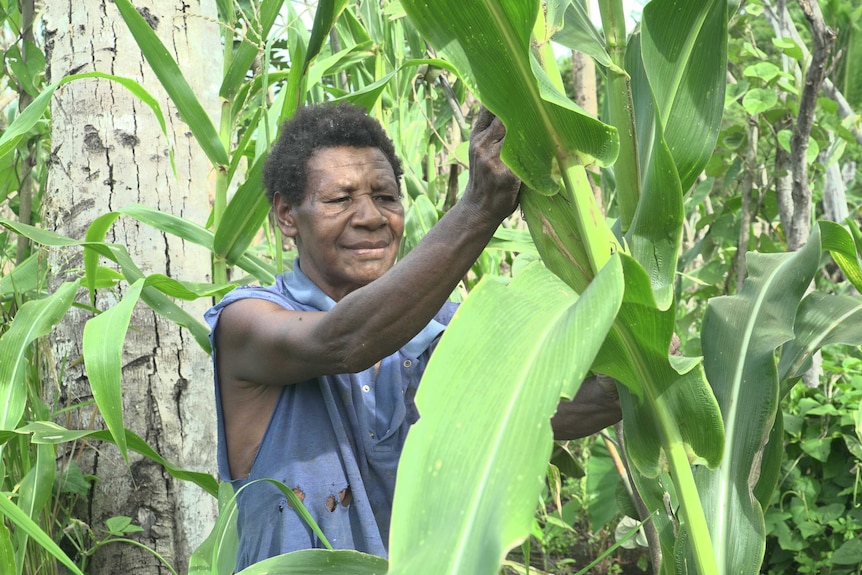 Tumam man stands among trees