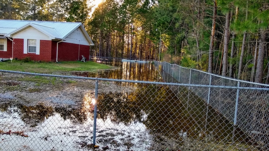 A flooded property. Building to the left of frame, trees to the right. Water inundating the space inbetween. 