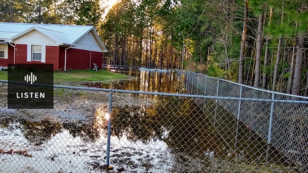 A flooded property. Building to the left of frame, trees to the right. Water inundating the space inbetween. . Has Audio.