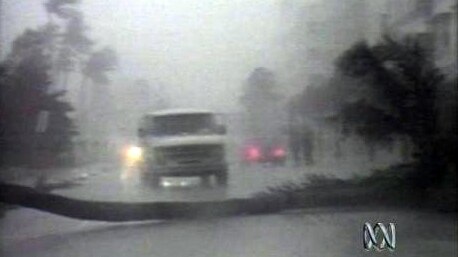 A van on a road in front of a fallen tree in a tropical storm