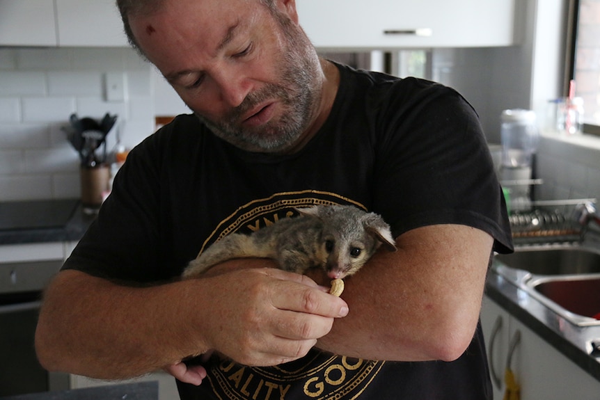A middle-aged man with a beard holding a young possum in his arms.