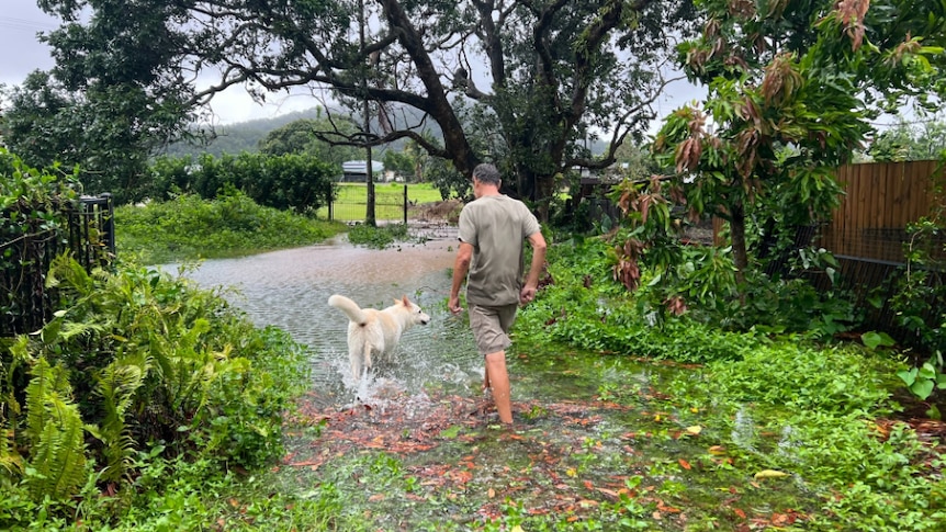 A man walks through a flooded easement with his white shepherd cross dog