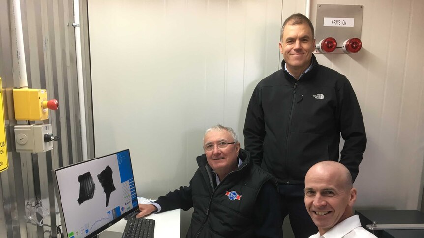 Teys Australia's Geoff Teys and Tom Maguire with MLA's Sean Starling look at carcass results provided by DEXA technology.