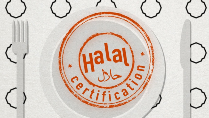 What is halal food?