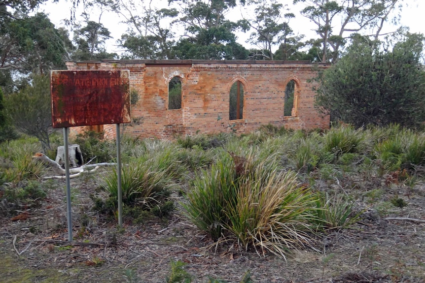 St Peter's church ruins on Bruny Island