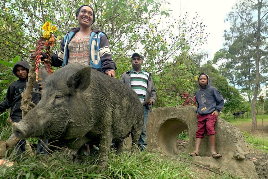 A PNG woman walks with her pig and other locals.