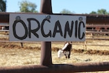 A close up shot of an organic sign on a cattle yard
