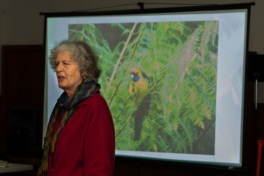 A woman speaking to crowd against the backdrop of a projected image of a Green Rosella parrot.
