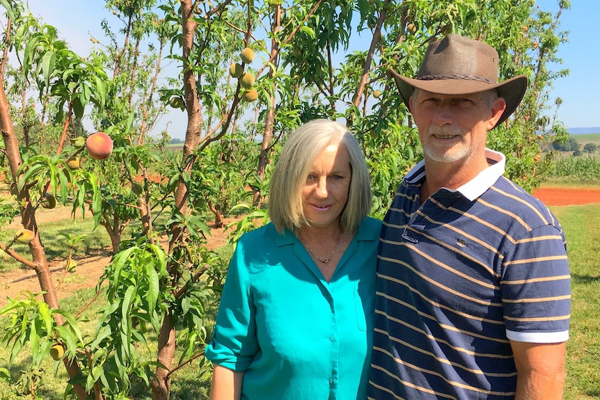 A woman with light blonde hair and a man wearing a hat, standing in front of fruit trees.