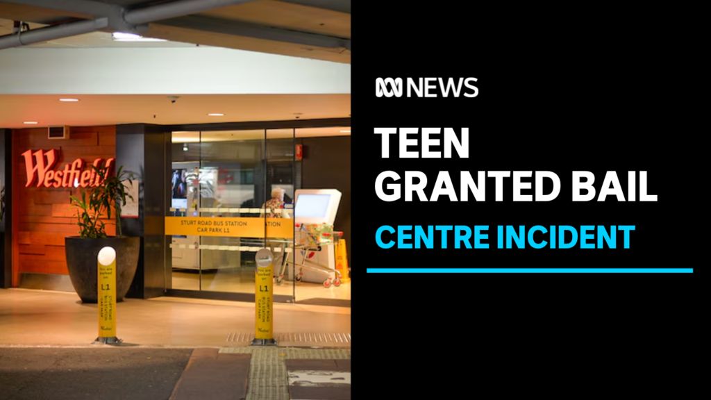 Teen involved in shopping centre fight given home detention bail - ABC News