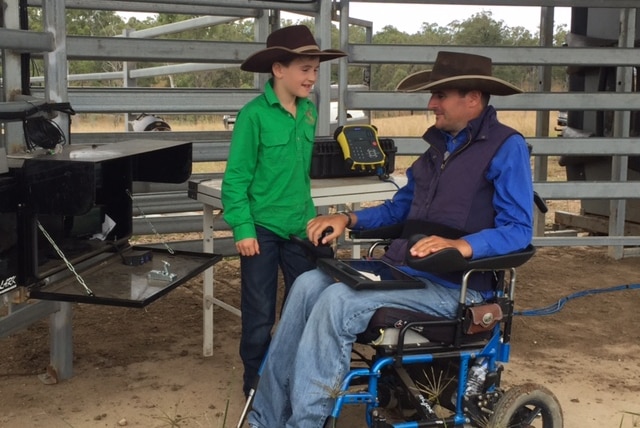 Rob operating the hydraulic controlled cattle yards