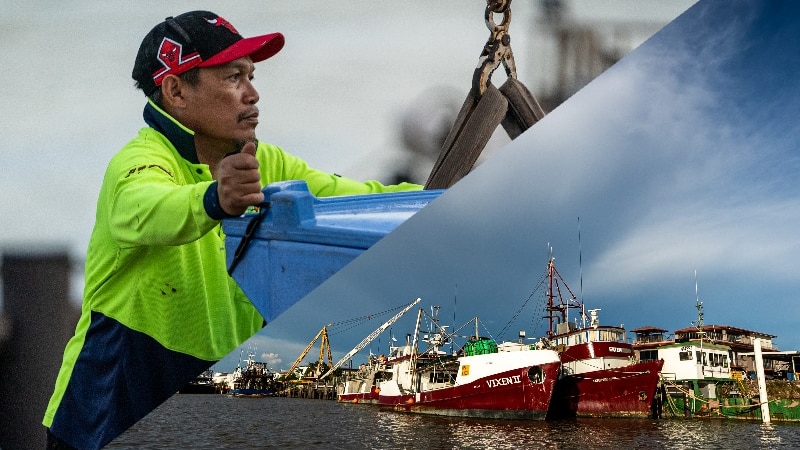 A composite image of a fisher working and fishing boats docked