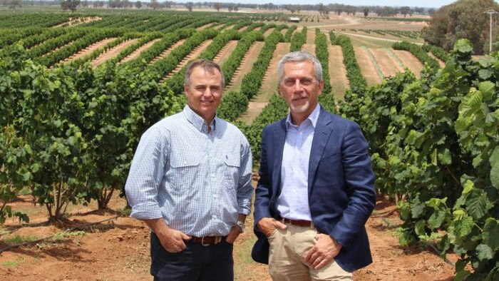 Koordinator pengembangan Agri Australis, Paul Geurtsen, dan manajer umum Claudio Cavallini di antara 1 juta pohon hazelnut.