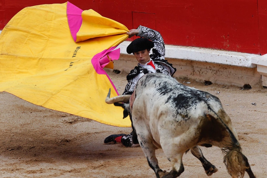 Spanish bullfighter Miguel Abellan