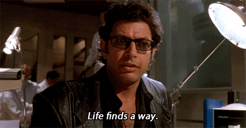 GIF of Jeff Goldblum in Jurassic Park saying "Life finds a way"