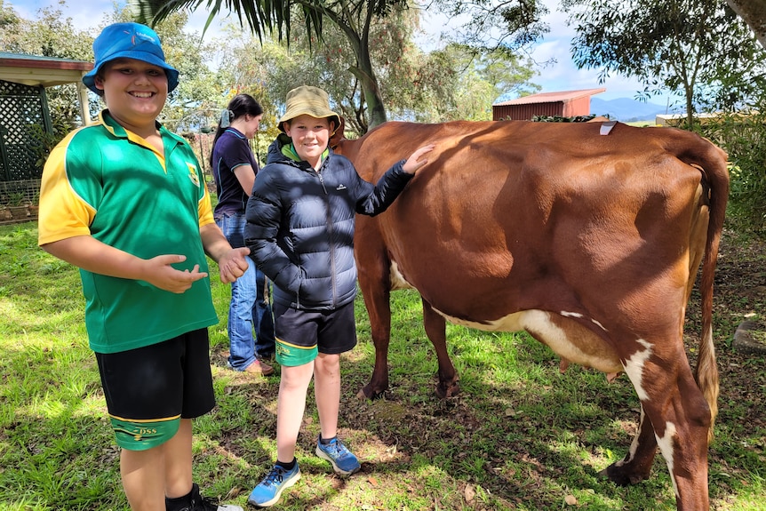 Two school students patting a cow