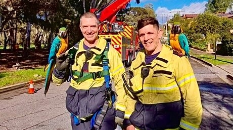 Two MFS workers in yellow and blue high vis, each with a blue and gold macaw on their shoulders with red crane in background