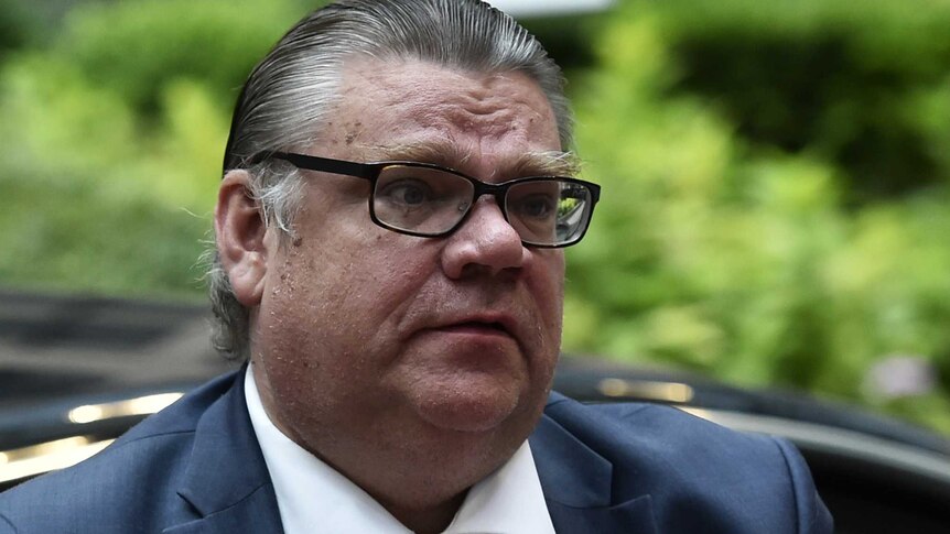 Finnish foreign minister Timo Soini