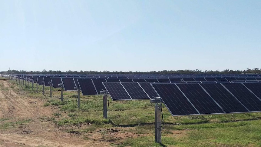 Barcaldine solar farm panels in rows