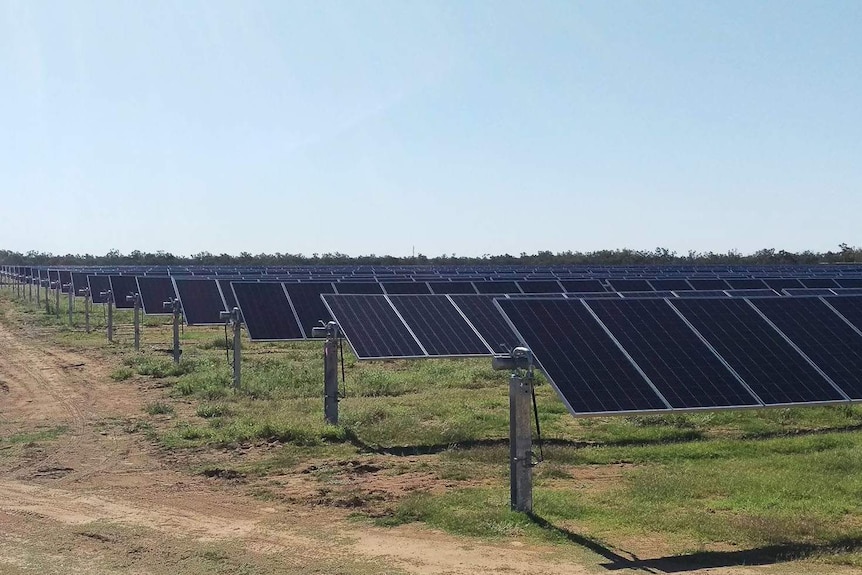 Barcaldine solar farm panels in rows